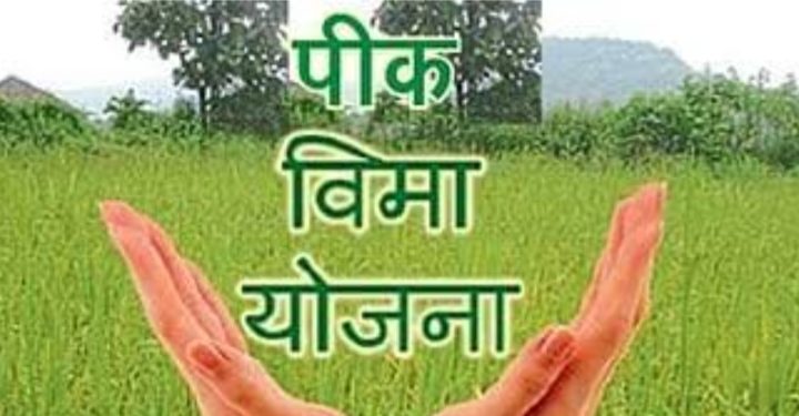 धाराशिवमध्ये शेतकऱ्यांना मोठा दिलासा ;३५० कोटींच्या पीकविमा भरपाईचा मार्ग मोकळा