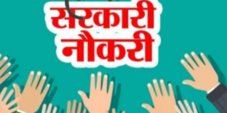 राज्यात 1 हजार रोजगार मेळाव्यांचे आयोजन